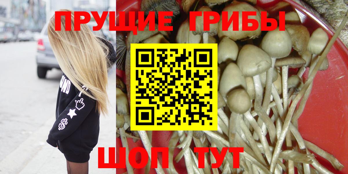 Нальчик  Галлюциногенные грибы Psilocybe  Вход с VPN 