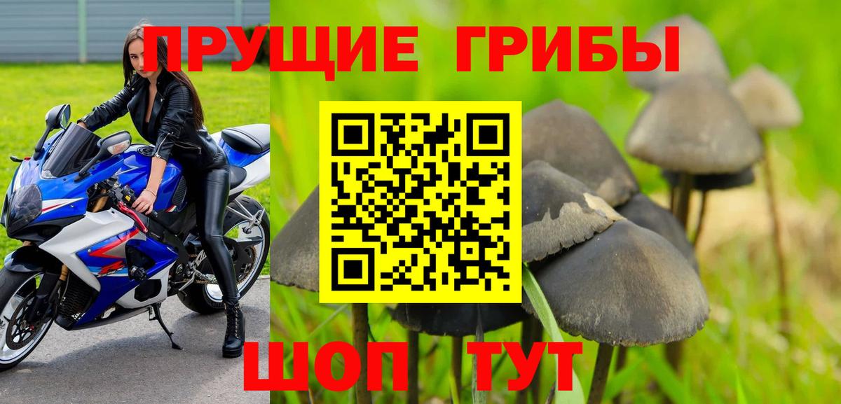 Псилоцибиновые грибы мицелий Нальчик